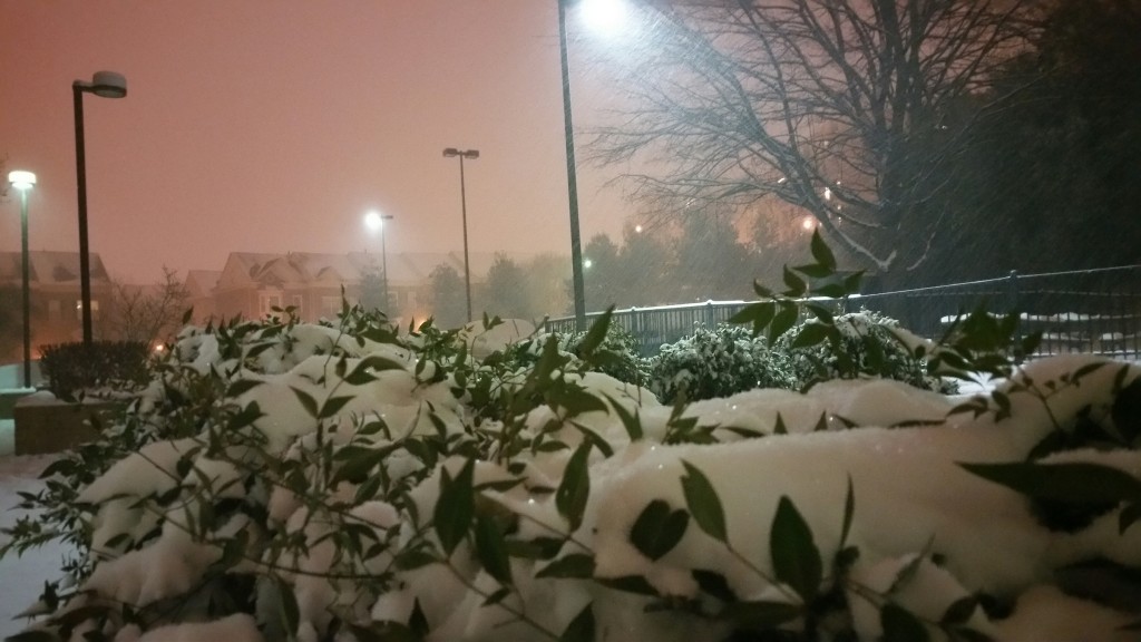 Blizzard dumping snow on Washington metro area on Friday. A scene of snowfall in Alexandria Friday evening Views and News Photo by Ali Imran 