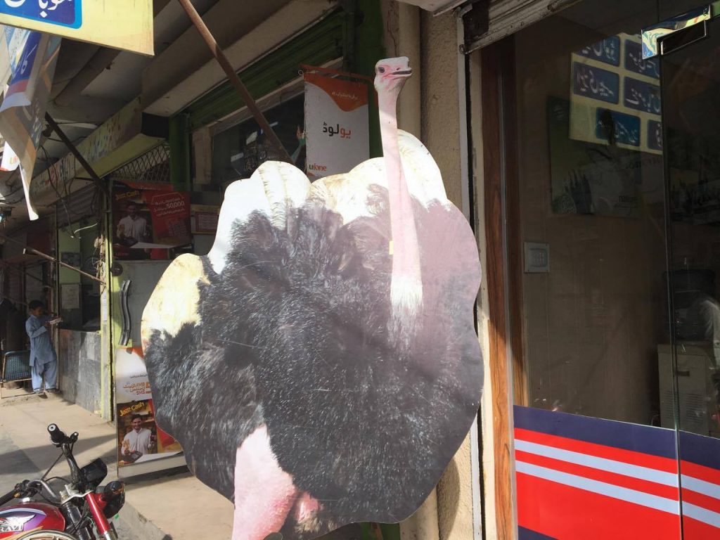 An ostrich oytside a meat shop in Lahore