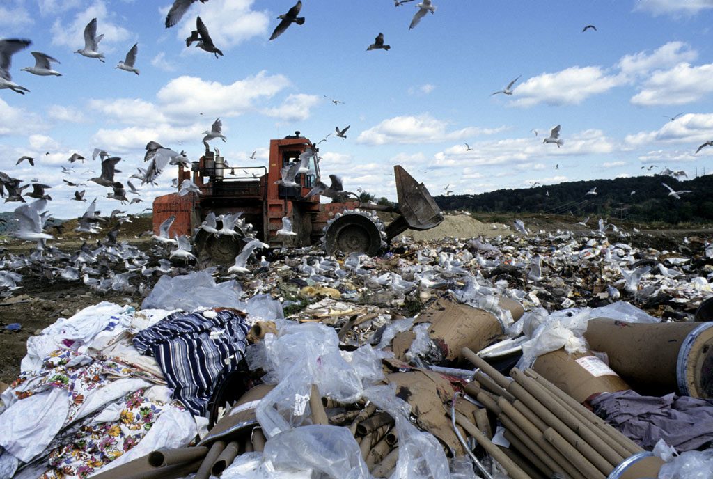 Birds scavenging for food amidst the debris at the landfill in Danbury, Connecticut in the United States. UN Photo/Evan Schneider (file photo)