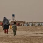 Some 400,000 Afghans have been forced from their homes since the beginning of the year. © UNHCR/Edris Lutfi